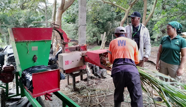 Técnicos de la Agencia de La Mesa del MIDA, brindaron su asistencia pecuaria y agrícola a una finca situada en la comunidad de Río Indio, en el corregimiento de San Martín, Panamá Este, la cual se dedica a sistema de doble propósito.