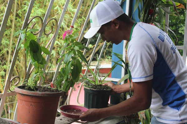 La Región de Salud de San Miguelito, informa a la comunidad que, ante la continuidad de la temporada lluviosa se mantiene un aumento significativo en los casos de dengue en el distrito.