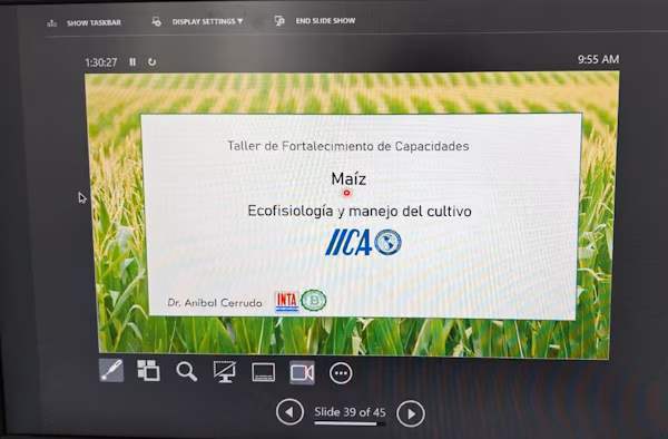 MIDA realizó un taller virtual para promover el cultivo de maíz con apoyo internacional.