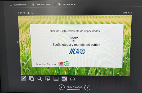 MIDA realizó un taller virtual para promover el cultivo de maíz con apoyo internacional.