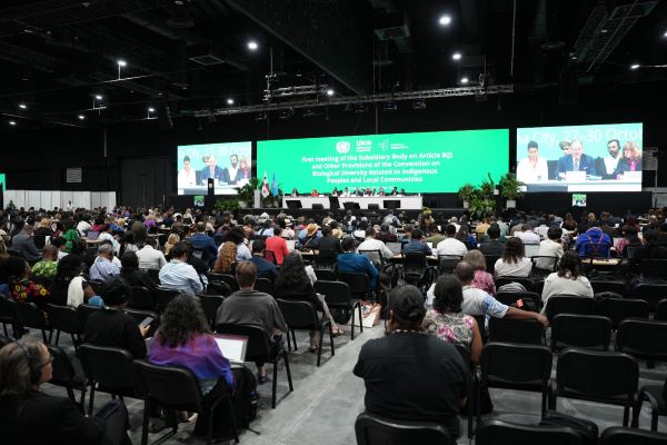 Panamá se posiciona como líder en la inclusión de los pueblos indígenas.