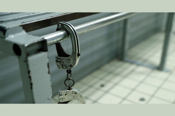 buscan establecer la cadena perpetua.