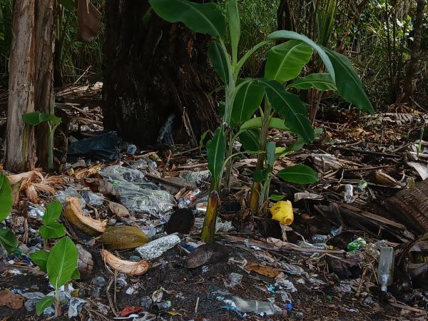 Desorden y daños ambientales obligan al cierre de isla escudo de Veraguas.