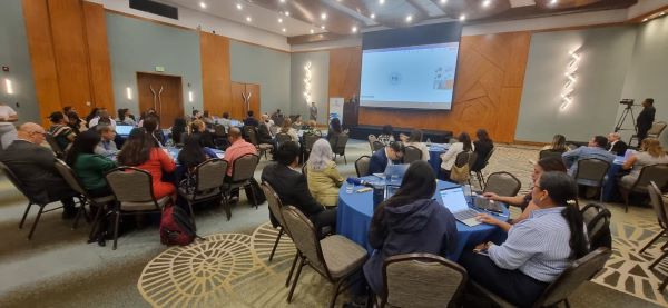 Mejorar eficiencia en la ejecución de proyectos de inversión pública.