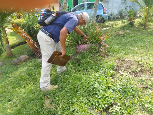 MINSA pide la eliminación de criaderos como medida clave para prevenir el dengue y otras enfermedades.