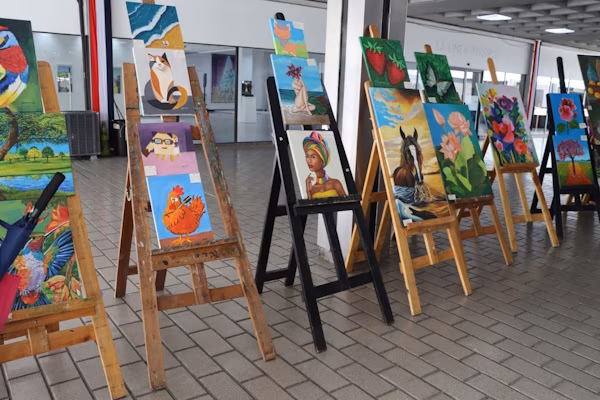 En Panamá, cerca de 25 jóvenes con necesidades especiales, mostraron su talento en la Expo Arte organizada por MEDUCA. Aquí se exhibieron más de 70 obras, llenas de color, trazos firmes y texturas expresivas, en la Plaza del Banco Nacional, que cautivaron a los personas asistentes.