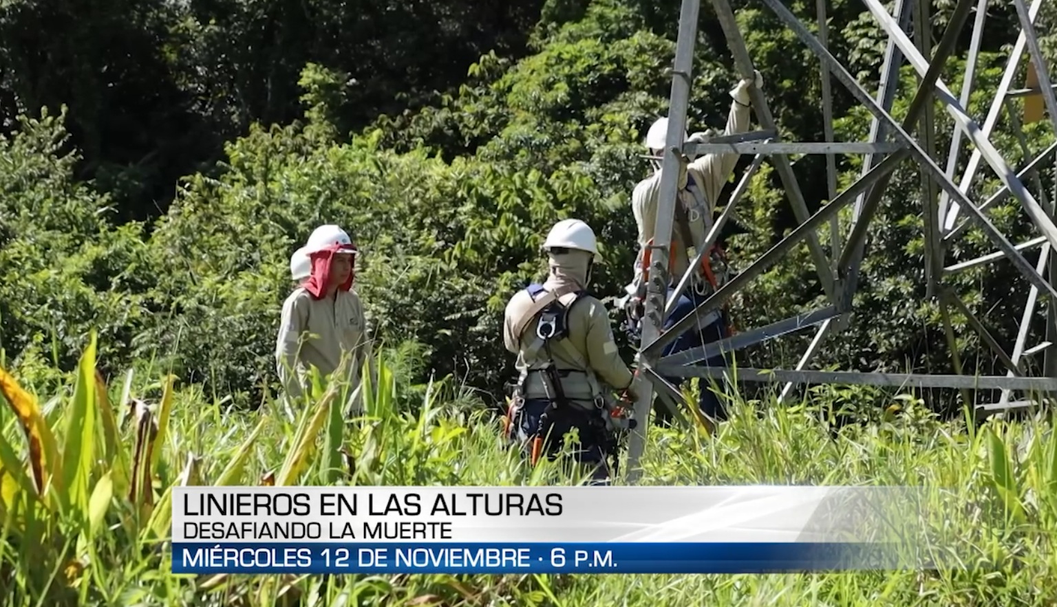 “Linieros” héroes en las alturas por Sertv Noticias