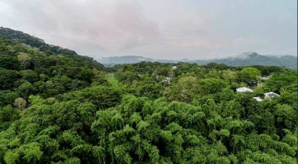 La reunión CRIC23 en Panamá reunirá a gobiernos de casi todo el mundo para revisar el estado de la degradación de tierras, los efectos de las sequías y las estrategias de restauración. Panamá presentará sus propios avances y desafíos, especialmente los relacionados con el Corredor Seco y la gestión del agua tras el año más seco registrado en 2023. El evento se integra en un ciclo de encuentros multilaterales que busca articular las agendas de clima, biodiversidad y uso sostenible del territorio.