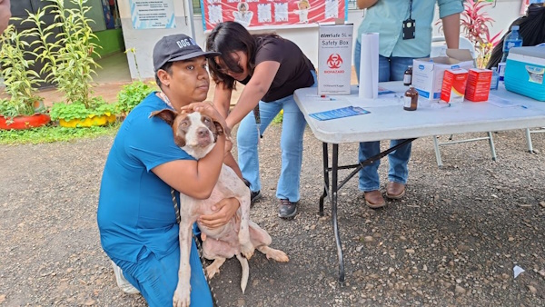 El equipo de la Dirección Nacional de Control de Alimentos y Vigilancia Veterinaria (DNCAVV) de Panamá Este, en coordinación con el director médico de Cerro Azul, realizó una jornada de vacunación antirrábica, desparasitación y suministro de vitaminas a las mascotas, para garantizar su salud y bienestar, así como prevenir enfermedades zoonóticas en la comunidad.