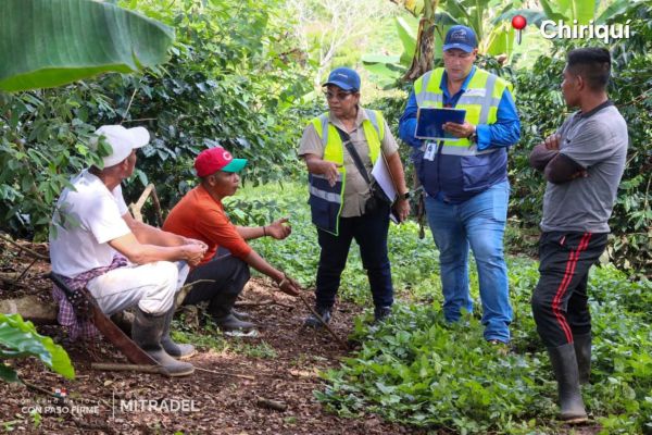 El Ministerio de Trabajo y Desarrollo Laboral (Mitradel) ejecutó una serie de operativos de verificación en cinco provincias del país como parte de sus acciones continuas para prevenir el trabajo infantil y supervisar el cumplimiento de la normativa laboral vigente.