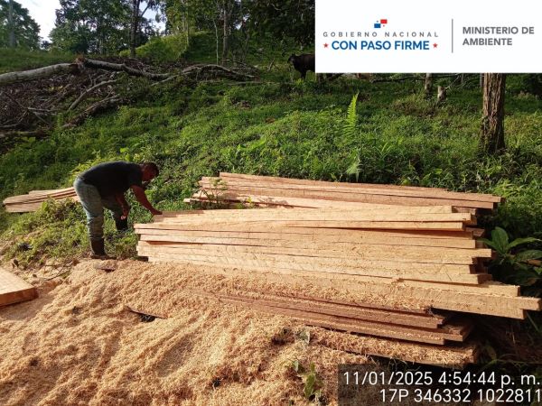 Retienen madera por no contar con permiso.