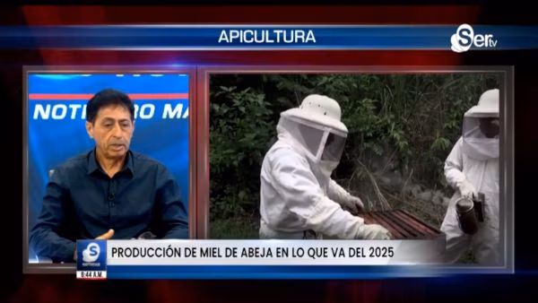 Bolívar Guevara, presidente de la Asociación Nacional de Apicultores, informó que Panamá produjo 16,000 galones de miel en 2025. La abeja africana limita la producción y se requieren medidas genéticas y apoyo institucional.
