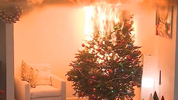 Durante diciembre, los bomberos registran un aumento sostenido de incidentes causados por luces, extensiones y árboles navideños instalados sin precauciones. Las autoridades insisten en revisar cables, usar equipos certificados y desconectar adornos antes de dormir para reducir el riesgo de incendios domésticos.