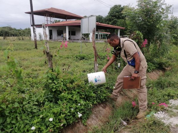 El dengue continúa presente en diversas regiones del país, impulsado por condiciones climáticas que favorecen la proliferación del mosquito Aedes aegypti. La eliminación de recipientes con agua, el manejo adecuado de desechos y la vigilancia en los hogares son medidas esenciales para disminuir el riesgo de transmisión. El Minsa mantiene campañas informativas y acciones de campo para apoyar a la población en el control del vector.