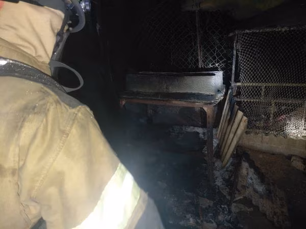 Bomberos rescatan 3 gatitos.