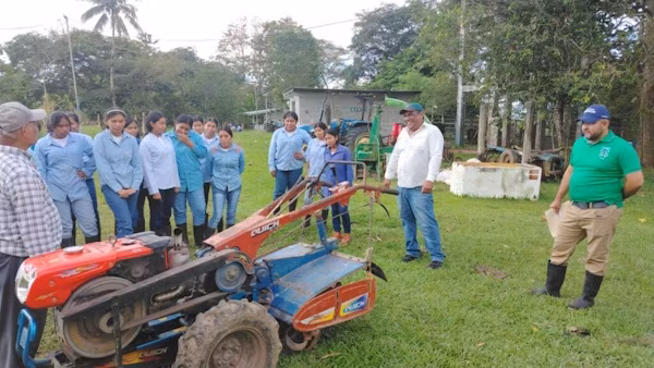 En Panamá, aproximadamente 3 mil estudiantes de undécimo y duodécimo grado de los 34 Institutos Profesionales y Técnicos Agropecuarios (IPTA) de todo el país, dieron principio este lunes 5 al programa “Verano Complementario”, el cual se extenderá hasta el 30 de enero y forma parte fundamental del pensum académico del bachillerato agropecuario.