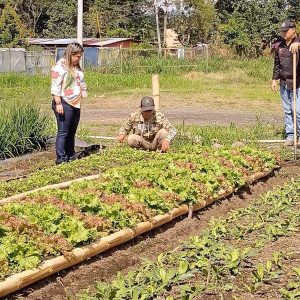 El MIDA participará en Expo Bugaba La Candelaria; evento que se llevará a cabo a partir del 28 de enero al 2 de febrero, en La Concepción, distrito de Bugaba, con el fin de resaltar el potencial productivo de esta región chiricana.