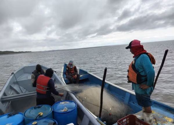 La red de enmalle fue decomisada.