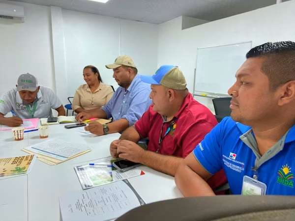Preparativos avanzan para la V Zafra del Café en Capira