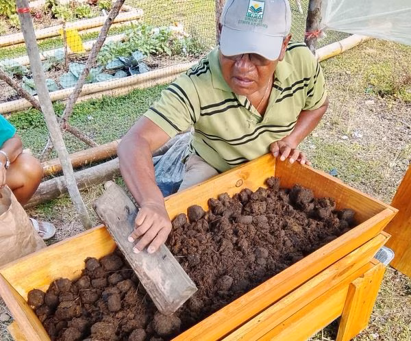 Productores Guna Yala reciben instrucción sobre lombricompostaje.