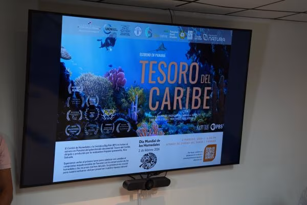 “Tesoro del Caribe” celebra el día de los humedales.