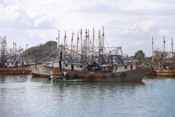 Embarcaciones parten desde el puerto de Vacamontes.