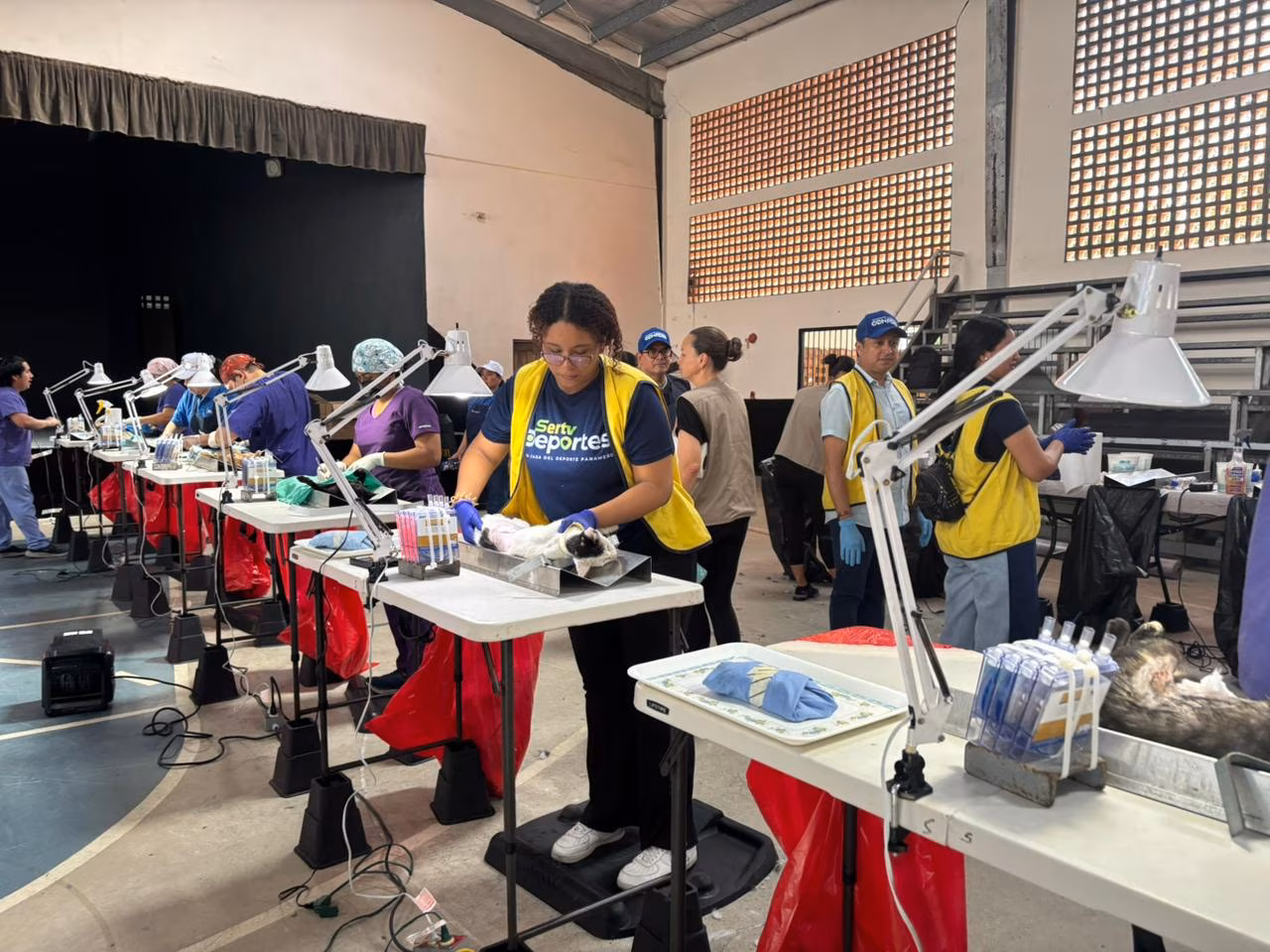 WhatsApp Image 2026-01-26 at 9.33.01 AM