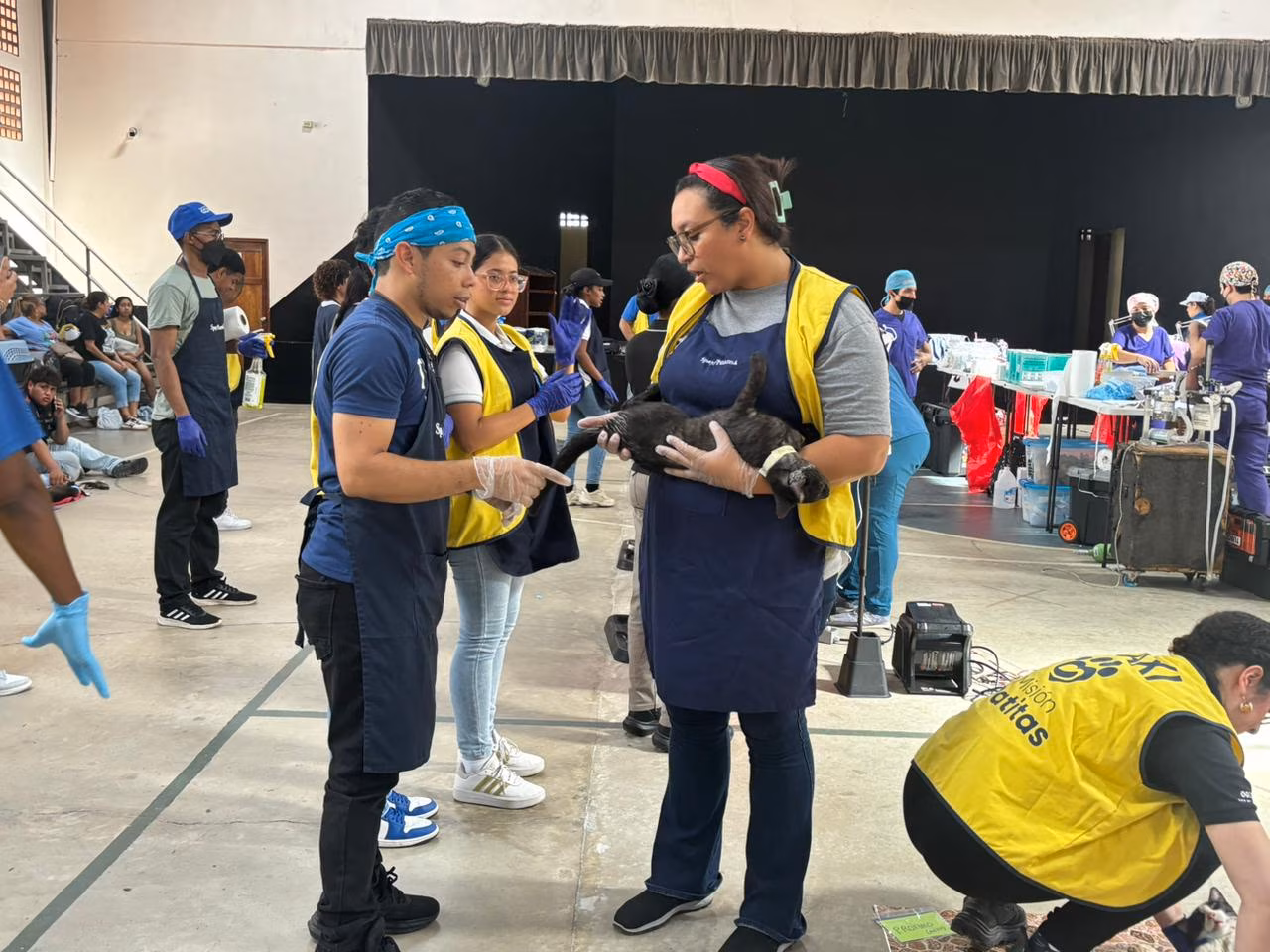 WhatsApp Image 2026-01-26 at 9.33.04 AM