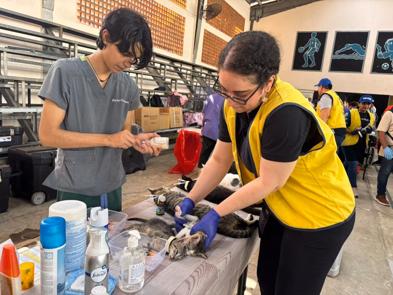 WhatsApp Image 2026-01-26 at 9.33.07 AM (2)