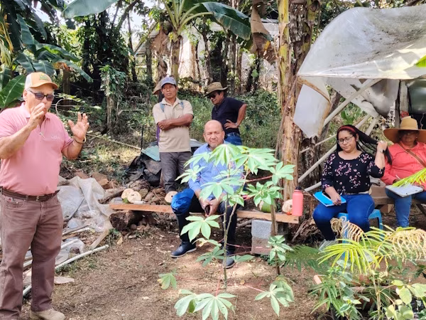 Personal técnico de la sede central del Ministerio de Desarrollo Agropecuario (MIDA) en Veraguas, junto con técnicos de la agencia de Atalaya, visitó una finca de diversificación de cultivos propiedad del productor Esteban Ureña, situada en el corregimiento de El Barrito, distrito de Atalaya, Veraguas.