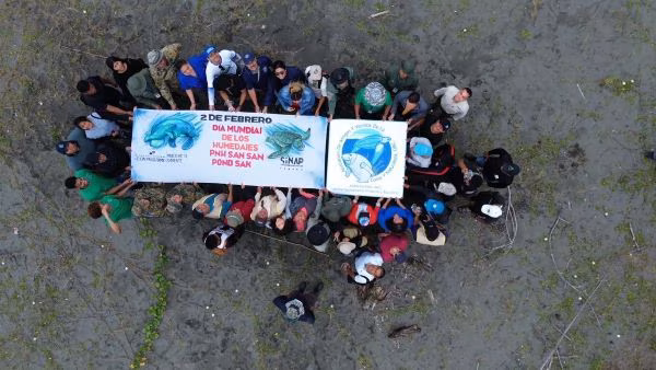 Temporada de Tortugas marinas en el marco del día de los humedales.