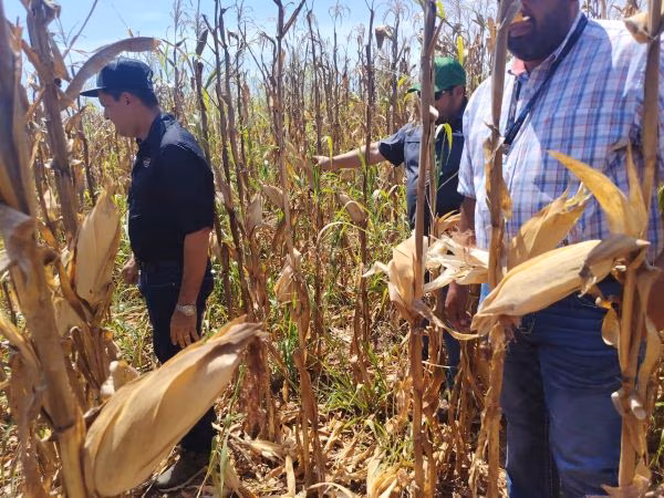 Funcionarios evalúan daños.