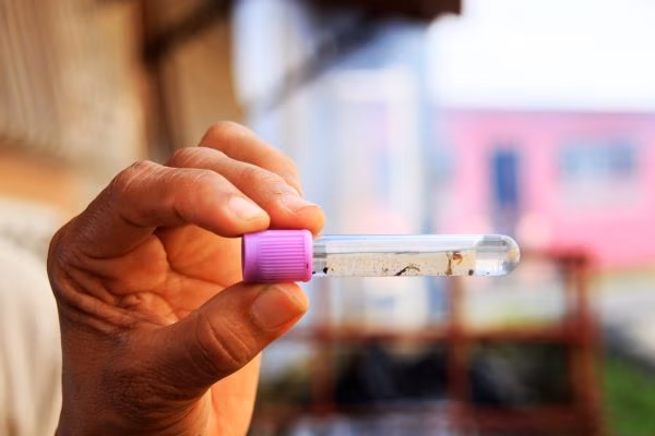 Siguen los operativos para detectar criaderos del mosquito.