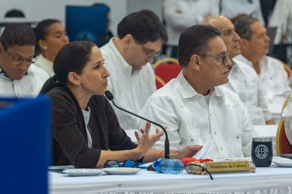 Ministra presenta los proyectos ante el consejo de gabinete.