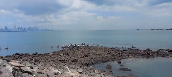 El Ministerio de Desarrollo Agropecuario de Panamá (MIDA), por medio de la Dirección Nacional de Salud Animal, mantiene activo su sistema de vigilancia epidemiológica ante el principio del ciclo migratorio de aves, fenómeno que sucede periódicamente entre el hemisferio sur y el hemisferio norte conforme a las condiciones climáticas.