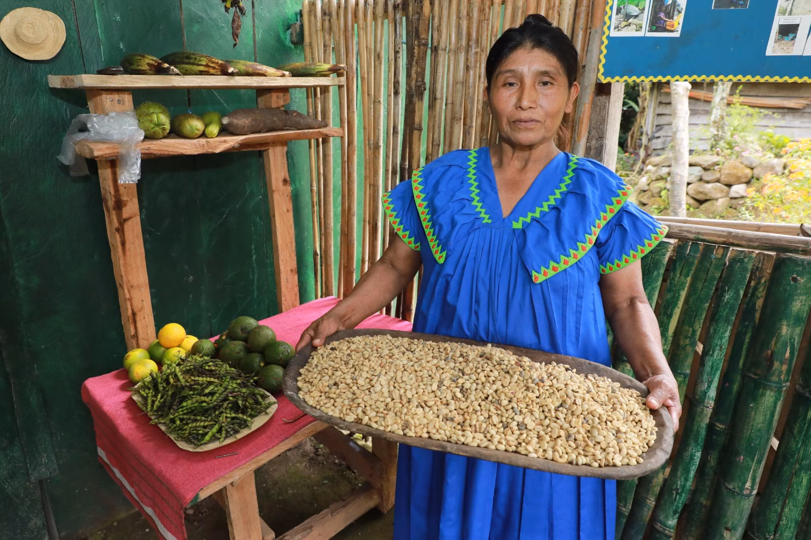 En la Comarca Ngäbe-Buglé, Ilda Salinas combina la tradición con la innovación. Entre matas de café, recolecta, seca, pela, tuesta y muele el grano en su parcela, mientras sostiene el sueño de ver a sus hijos convertirse en profesionales. Su trabajo diario, apoyado por el programa Red de Oportunidades del MIDES, no solo garantiza el sustento familiar, sino que permite la educación de sus hijos y el desarrollo de emprendimientos sostenibles en la región.