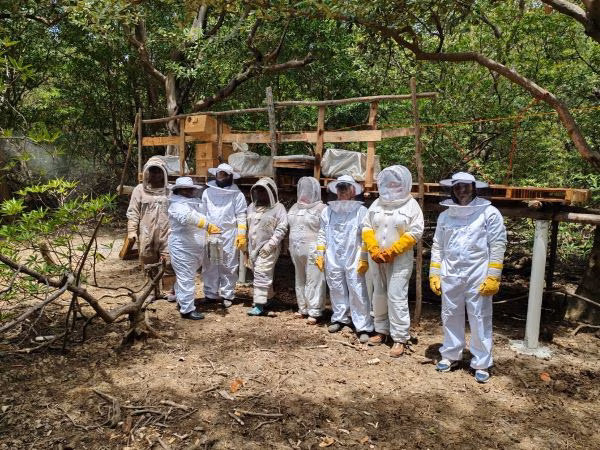 Producción de miel sostenible.
