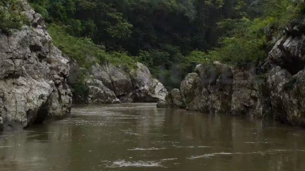 Buscan legalizar tenencia de tierras.