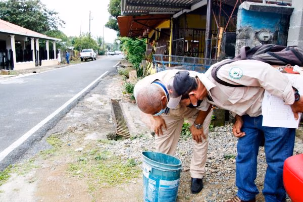 Minsa pide eliminar los criaderos del mosquito.