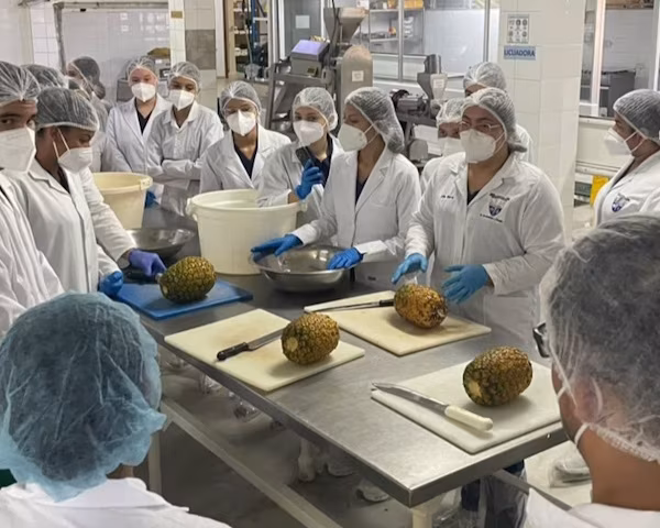 Un total de 100 estudiantes universitarios y de educación media afianzaron sus competencias en transformación agroindustrial, después de participar en una jornada de talleres teórico-prácticos impartida del 14 al 17 de julio por la Dirección de Agroindustrias del Ministerio de Desarrollo Agropecuario (MIDA), a través del Centro de Investigación y Transferencia de Tecnología Agroindustrial (CITTA) – Planta La Montuna, ubicado en Divisa, provincia de Herrera.