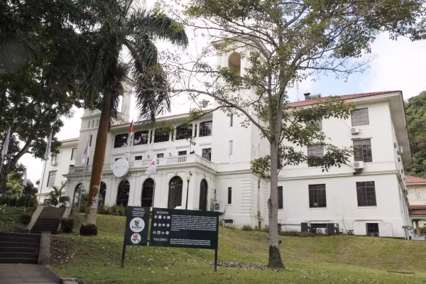 La medida responde a una alerta internacional por la presencia de sustancia prohibida asociada a riesgos para la salud humana. El Ministerio de Salud (MINSA), a través de la Dirección Nacional de Farmacia y Drogas, ordenó la cancelación del registro sanitario y el retiro inmediato del mercado nacional del producto "Britney Spears Sunset Fantasy Eau de Toilette Spray".