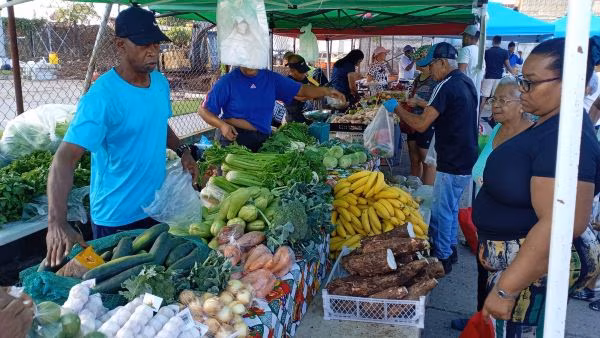 El ahorro en estas feria es notable, según los consumidores.