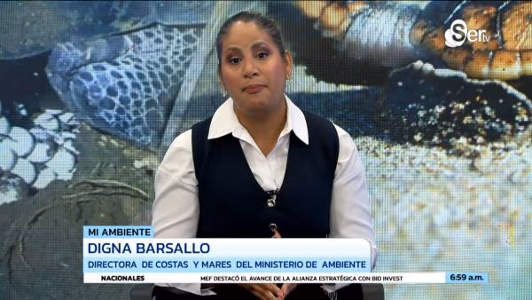 Panamá refuerza la protección de las tortugas marinas durante la temporada de anidación, mientras el Ministerio de Ambiente advierte que afectar a estos animales puede generar multas de entre $2,000 y $5,000, además de recordar que está prohibido consumir su carne, sus huevos o mantenerlas como mascotas.