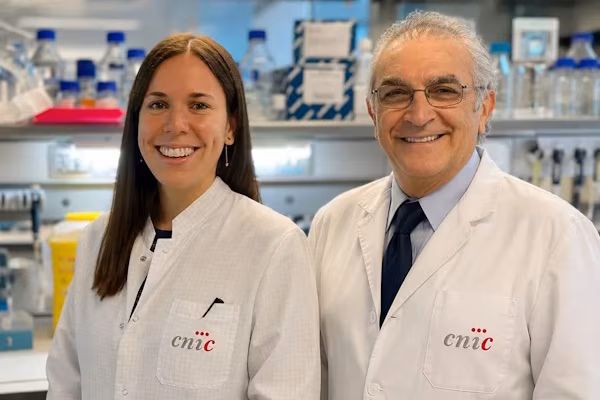 Madrid (EFE).- Un equipo científico liderado por el Centro Nacional de Investigaciones Cardiovasculares (CNIC) ha identificado una nueva estrategia para prevenir las arritmias asociadas al síndrome de QT corto tipo 3 (SQT3), una rara enfermedad hereditaria con un alto riesgo de muerte súbita, incluso en pacientes jóvenes.