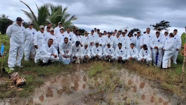 El Ministerio de Desarrollo Agropecuario (MIDA), por medio de la Dirección Nacional de Sanidad Vegetal y la Dirección Regional en Bocas del Toro, realizó en fecha reciente, un simulacro de atención y respuesta ante un posible brote de Fusarium Raza 4 Tropical (Foc R4T), enfermedad que afecta el cultivo del banano y representa una de las principales amenazas para este importante rubro agrícola. La actividad se llevó a ejecución en la comunidad de Guamerú, corregimiento de Guabito, distrito de Changuinola, específicamente en la finca del productor Maxel Pitti, con el propósito de fortalecer los protocolos de detección, contención y respuesta ante la eventual presencia de esta plaga.