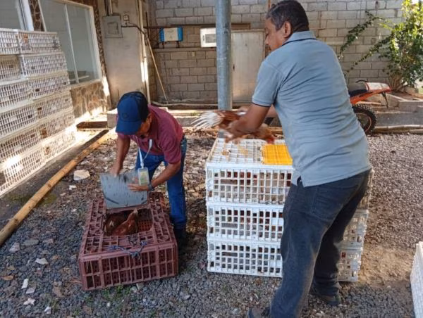 Buscan mejorar la producción agropecuaria.