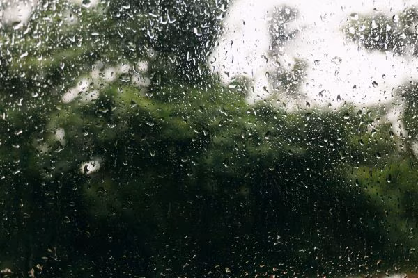 Se espera un incremento de las lluvias este fin de semana.