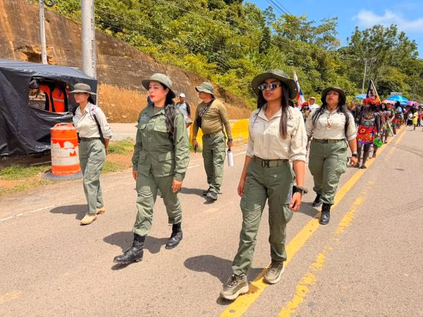 Uno de los principales refugios de biodiversidad de Panamá.
