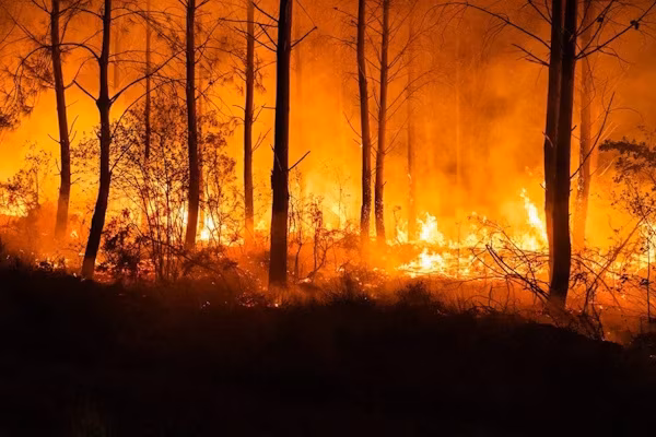 París (EFE).- El incendio que desde el jueves ha quemado 1.700 hectáreas de bosque al sur del departamento de las Landas, al suroeste de Francia, fue declarado bajo control este lunes, y la evolución favorable va a permitir la vuelta a casa de una parte de los evacuados.