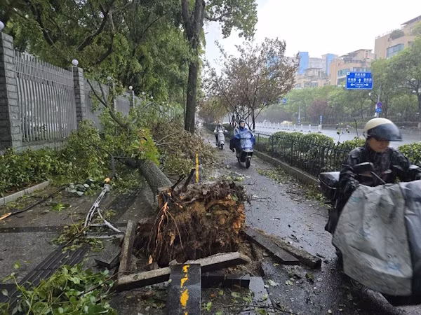 Pekín (EFE).- Los remanentes del tifón Dolphin, ya debilitado, siguen afectando al centro de China, donde las lluvias torrenciales de los últimos días han obligado a evacuar a más de 65.000 residentes en la provincia de Henan, después de que el sistema causase ya la relocalización de al menos 1,6 millones de personas en el este del país.